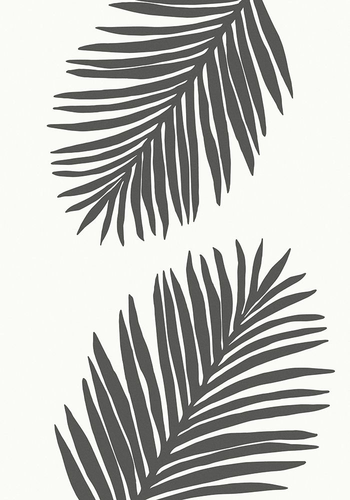 PALM LEAF 12 GRAPHITE GRAY art print by 1x Studio for $57.95 CAD
