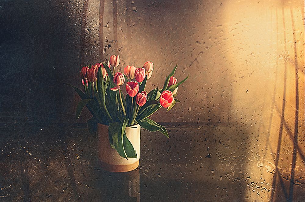 Tulips In The Room art print by Desislava Ignatova for $57.95 CAD
