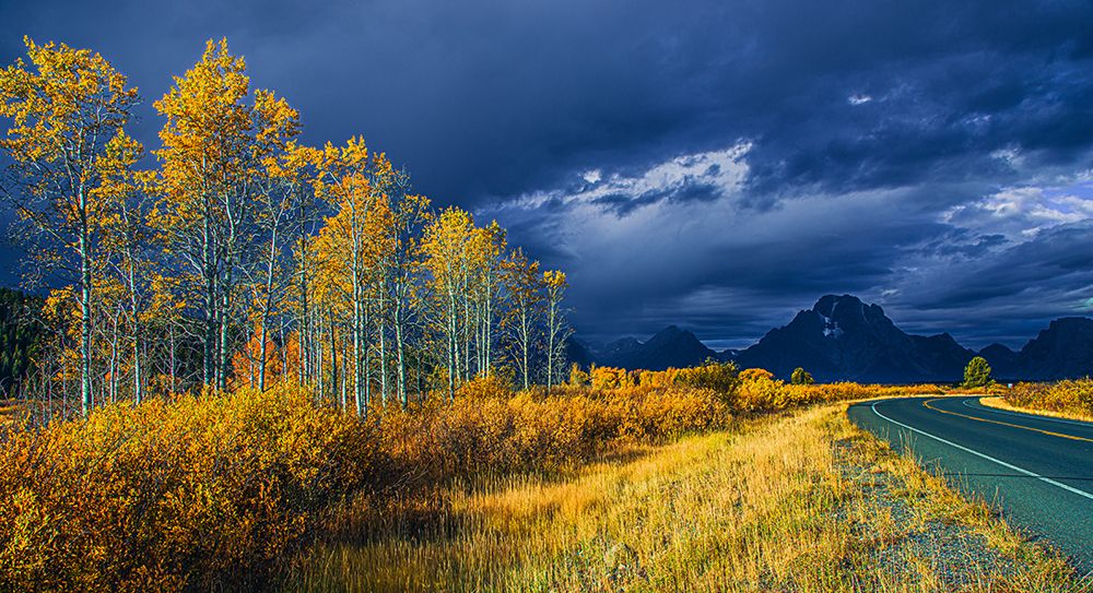 Fall Colors Before A Storm art print by Bing Yu for $57.95 CAD