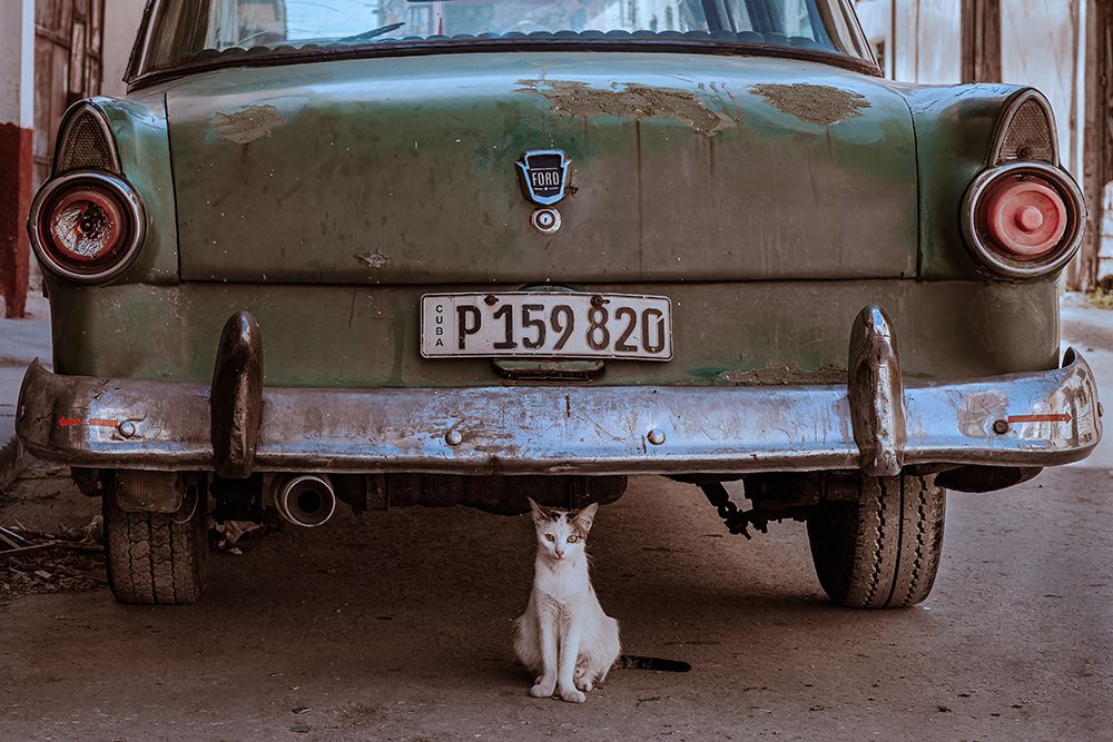 Cuban Cat With Car art print by Andreas Bauer for $57.95 CAD