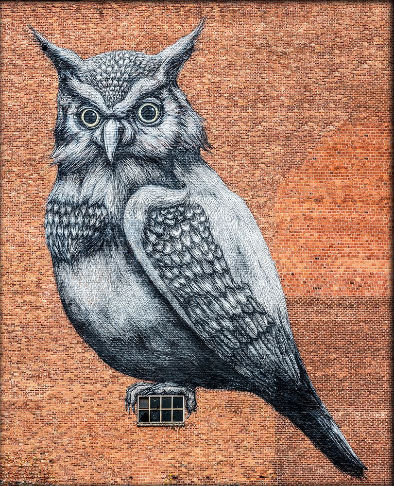 Tag Owl Hasselt art print by Laruelle Philippe for $57.95 CAD
