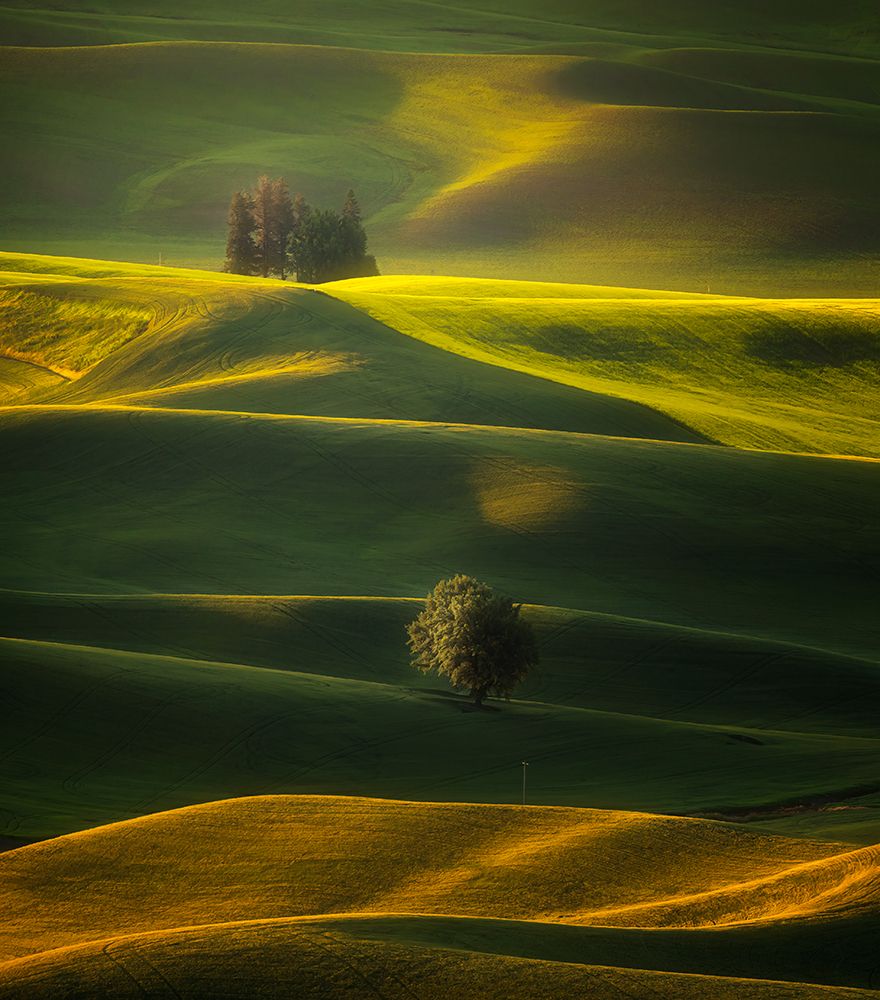 Golden Hours Of The Palouse art print by Joan Zhang for $57.95 CAD