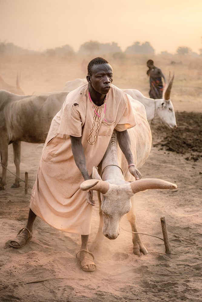 A Symbiotic Bond art print by Trevor Cole for $57.95 CAD