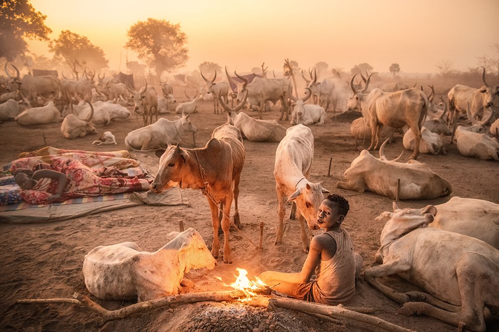A Young Mundari Herder At Work art print by Trevor Cole for $57.95 CAD