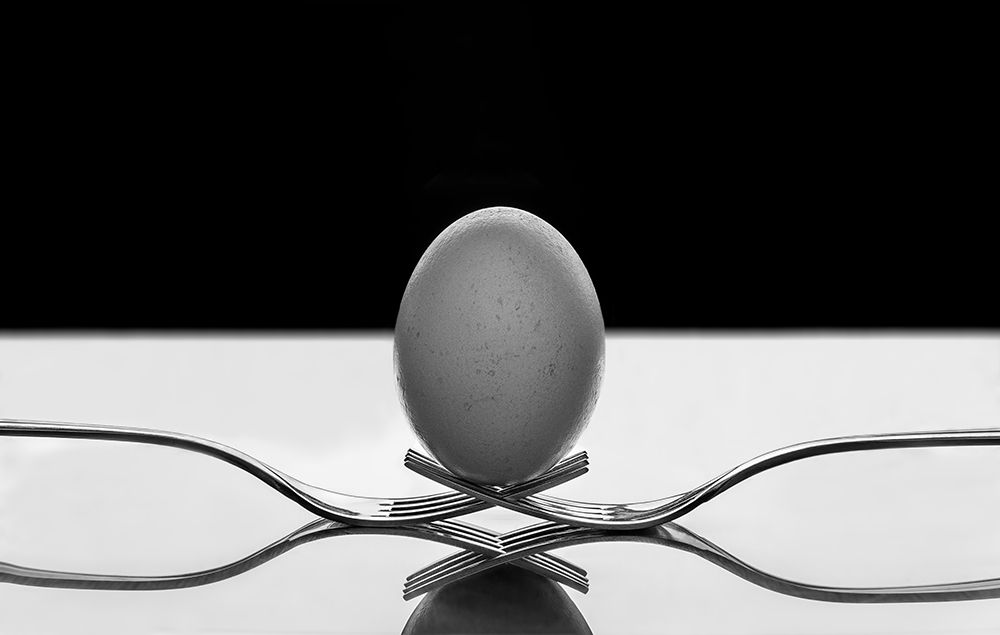 The egg art print by Giorgio Toniolo for $57.95 CAD