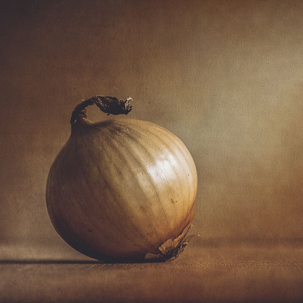 Onion art print by Kristina Zvinakeviciute for $57.95 CAD