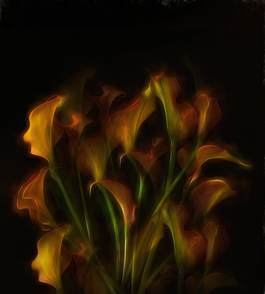 Flower Power. art print by Saskia Dingemans for $57.95 CAD