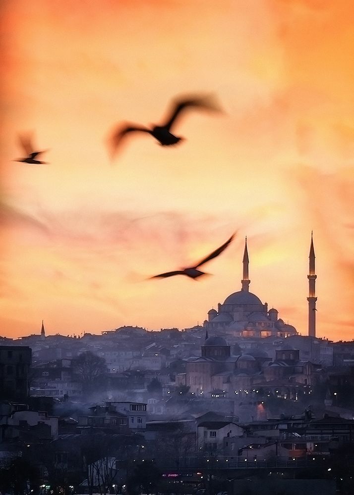 Sunset in Istanbul art print by Bartolome Lopez for $57.95 CAD