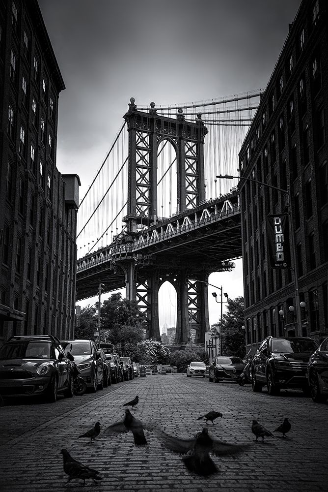 Dumbo - NYC art print by Catherine W. for $57.95 CAD