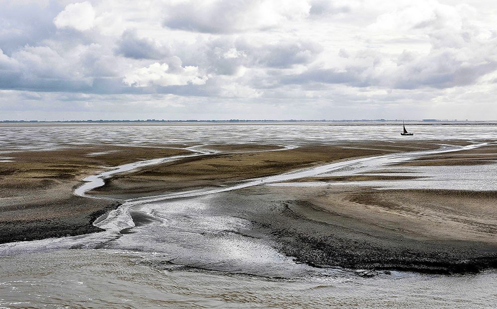 The Wadden Sea From The Island Ameland art print by Wilma Wijers Smeets for $57.95 CAD