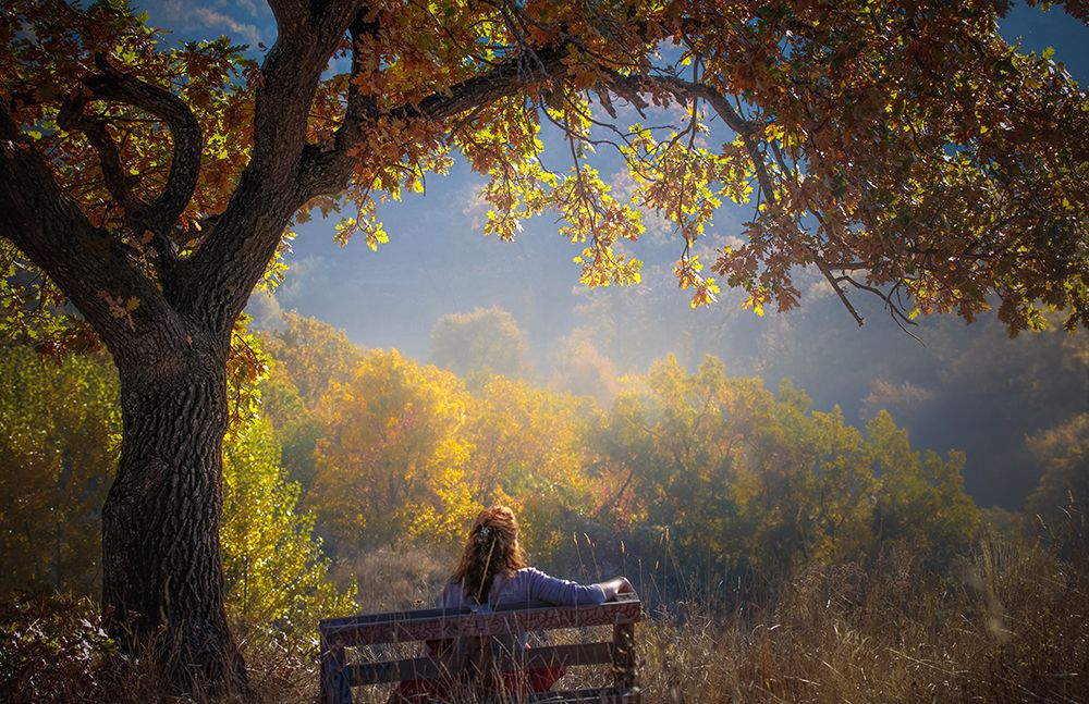 Woman Sitting On A Bench Under A Tree And Facing A Yellow Autumn art print by Vio Oprea for $57.95 CAD