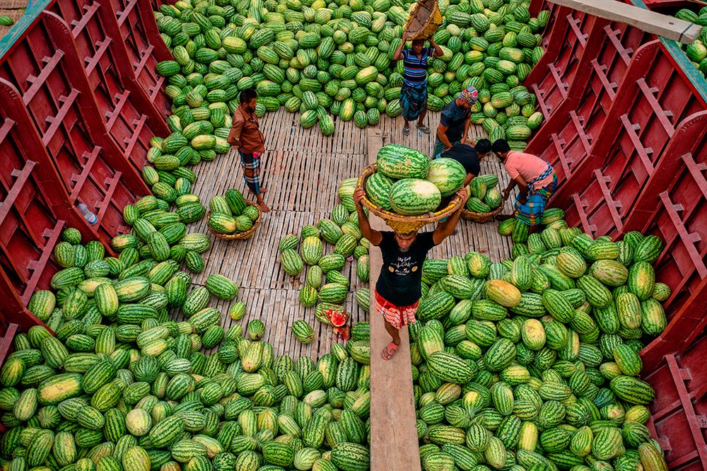 Unloading Watermelons art print by Azim Khan Ronnie for $57.95 CAD