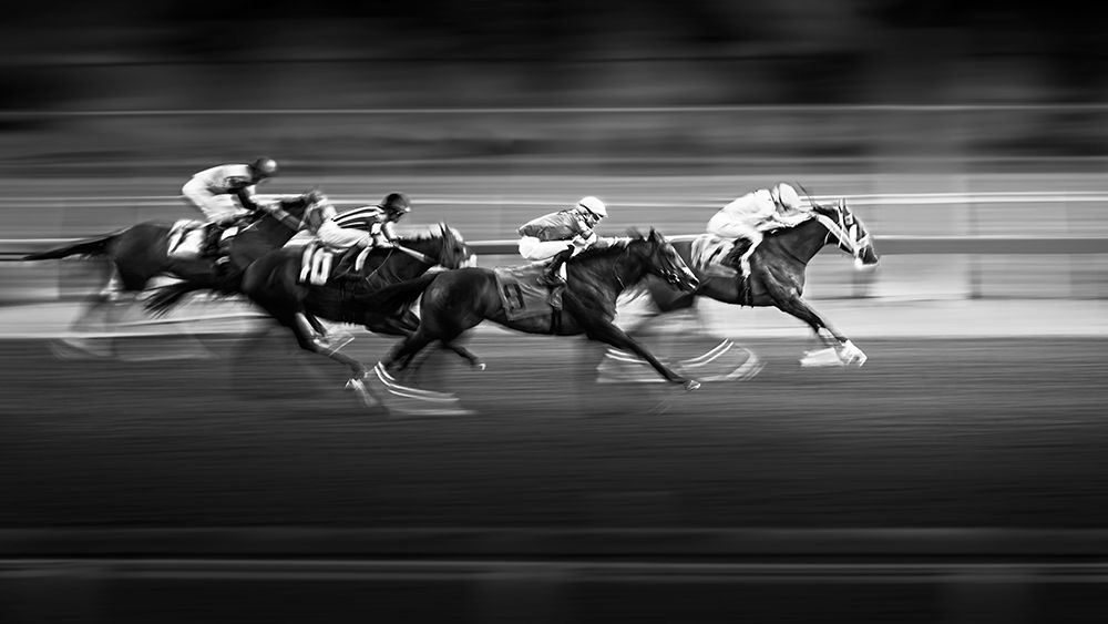 Horse Racing 3 art print by Steven Zhou for $57.95 CAD