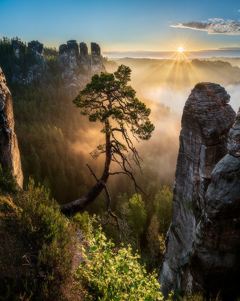 The Third Most Famous Pine Of Saxony Switzerland art print by Filip Holic for $57.95 CAD