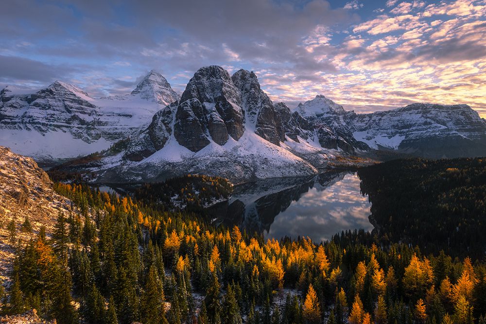 Mt. Assiniboine art print by Willa Wei for $57.95 CAD