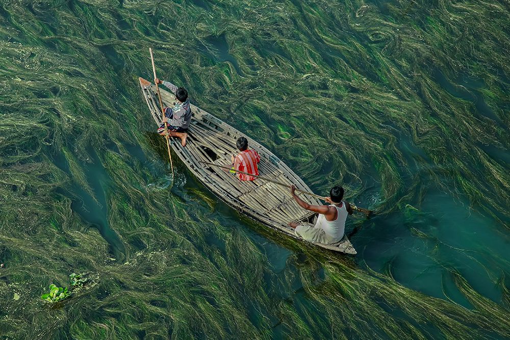 Crossing The Algae RIVer art print by Muhammad Amdad Hossain for $57.95 CAD