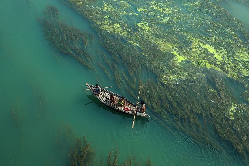 Cross The Algae RIVer art print by Muhammad Amdad Hossain for $57.95 CAD