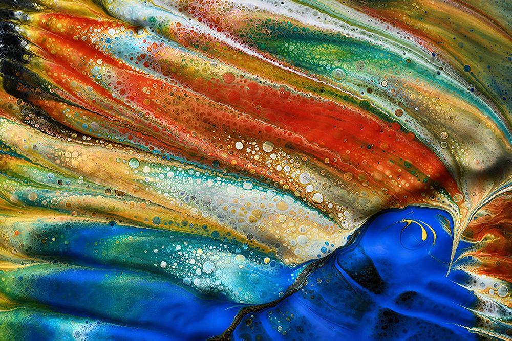 The Blue Fish art print by Heidi Westum for $57.95 CAD