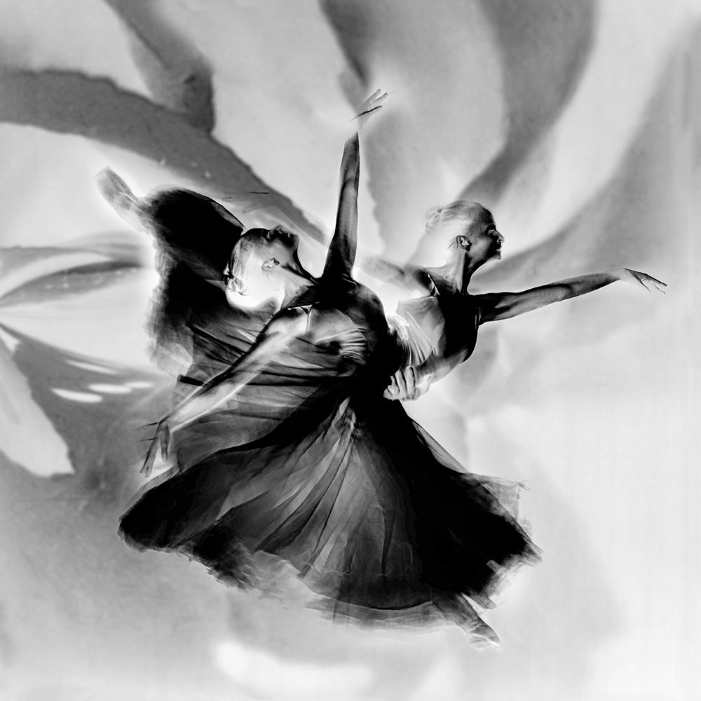 Dance In Black And White art print by Rachel Pansky for $57.95 CAD