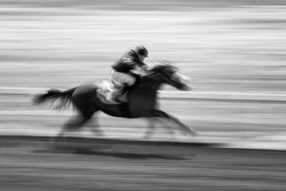 Horse Racing 5 art print by Steven Zhou for $57.95 CAD