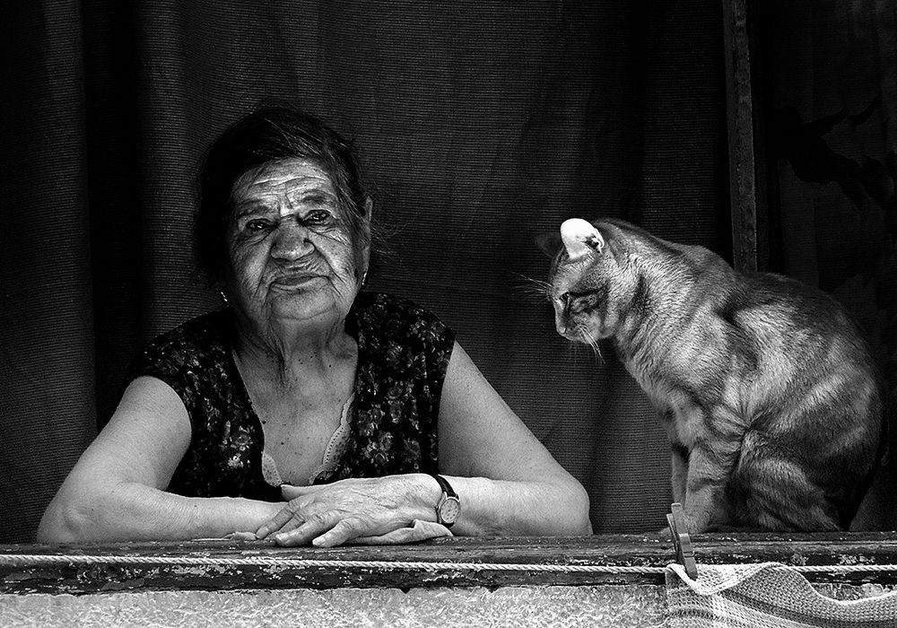 Lady At The Window With Her Cat art print by Ezequiel59 for $57.95 CAD
