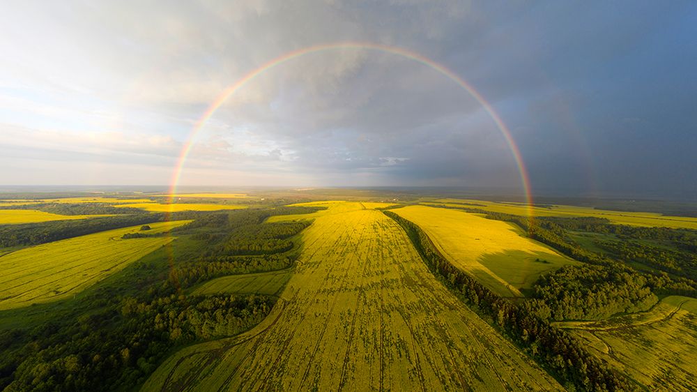 An Exotic Look At The Rainbow art print by Dmitry Doronin for $57.95 CAD