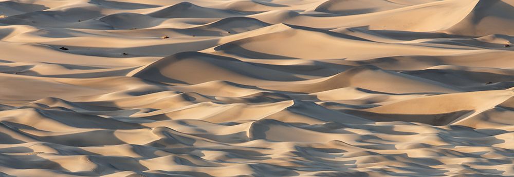 Sand Waves art print by Michael Chapman for $57.95 CAD