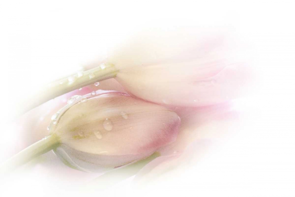 Touching art print by Stefan Eisele for $57.95 CAD