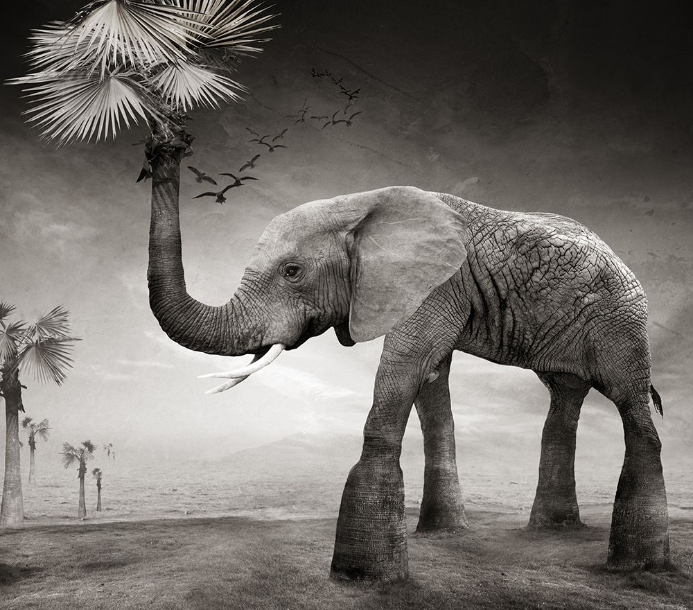 The story of elephants art print by XibiaoHuang for $57.95 CAD