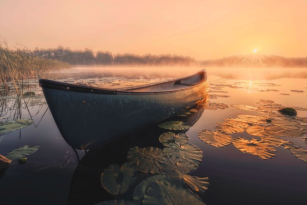 Sunrise in the fog art print by Dariusz Budyta for $57.95 CAD