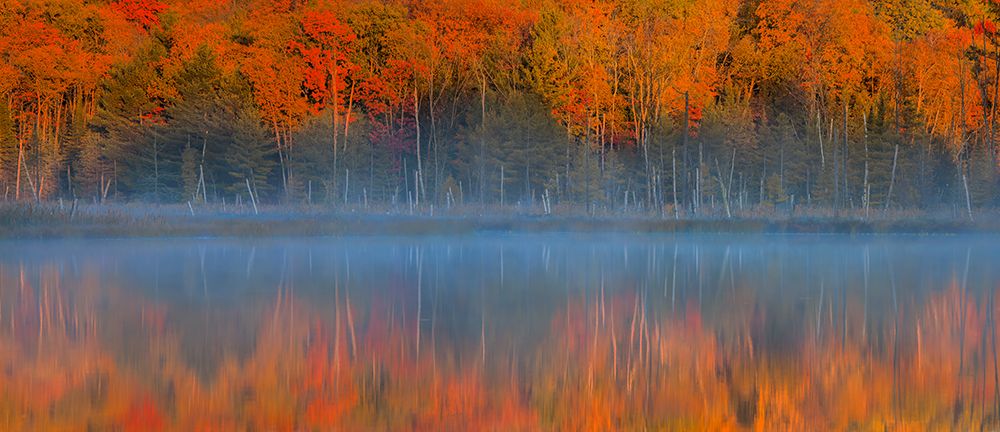 Pulses Of The Autumn art print by John Fan for $57.95 CAD