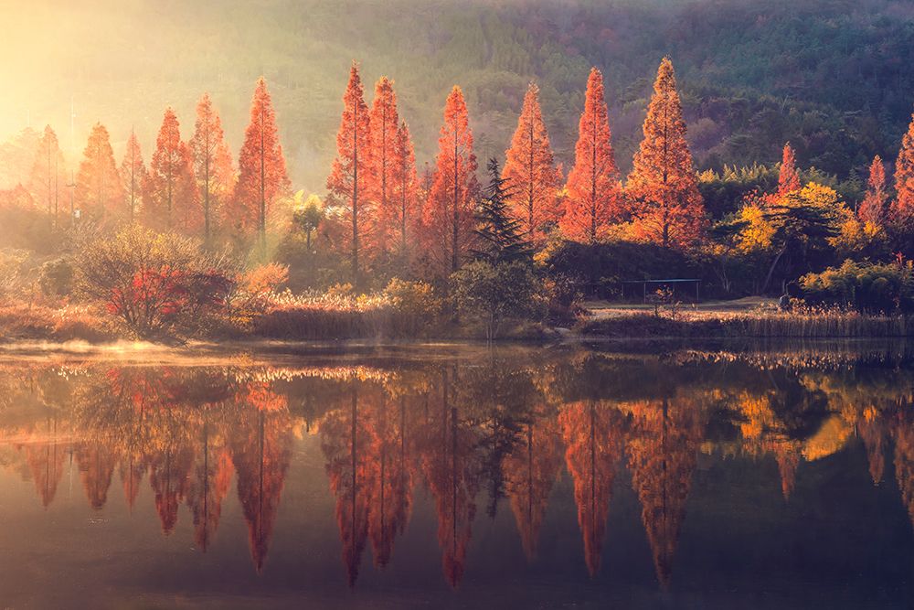 Beautiful Morning Of The Obong Reservoir art print by Tiger Seo for $57.95 CAD