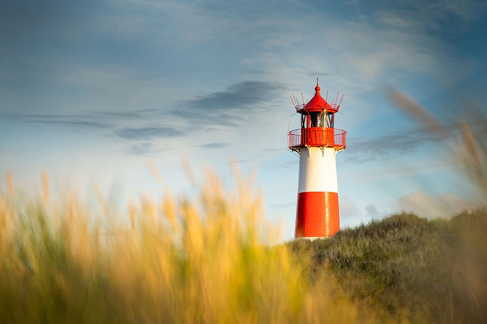 Morning hour art print by Ulrike Eisenmann for $57.95 CAD