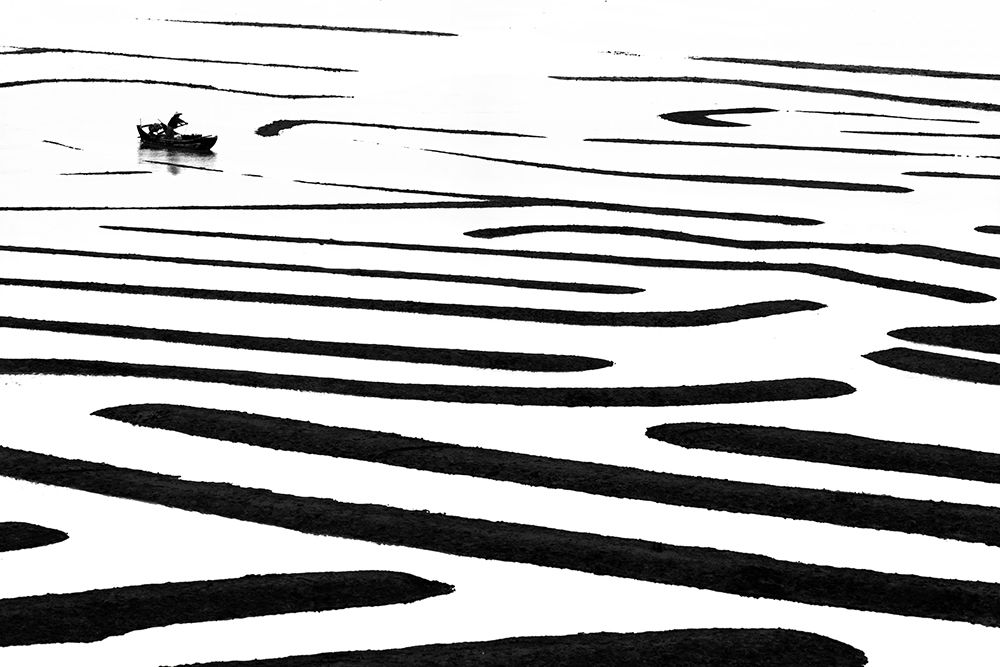 Sea Maze art print by Jie Jin for $57.95 CAD