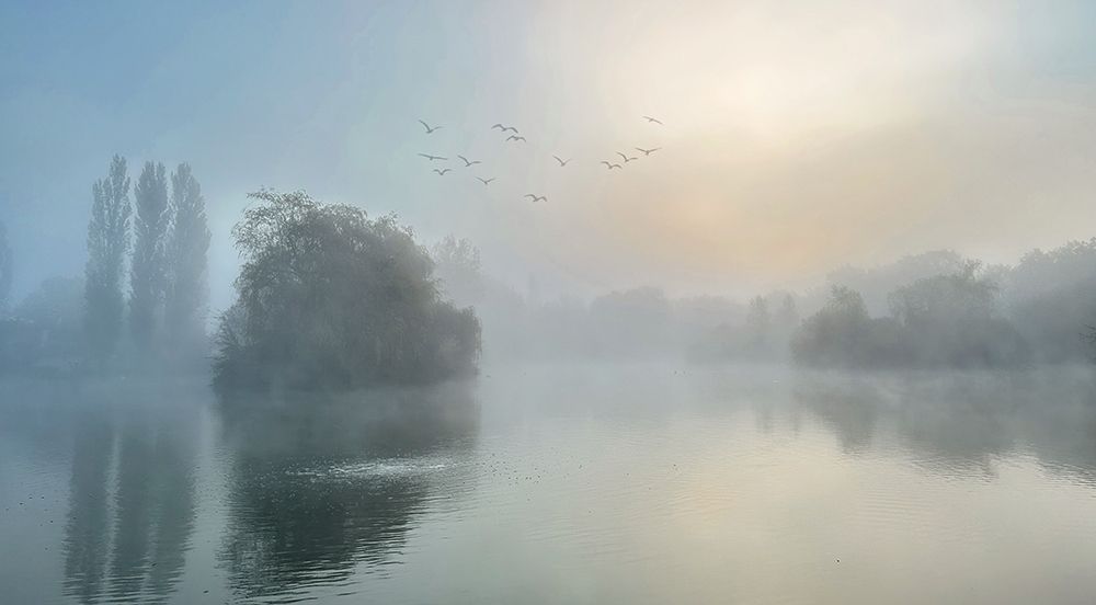 Very Foggy Morning art print by Debbie Smith for $57.95 CAD