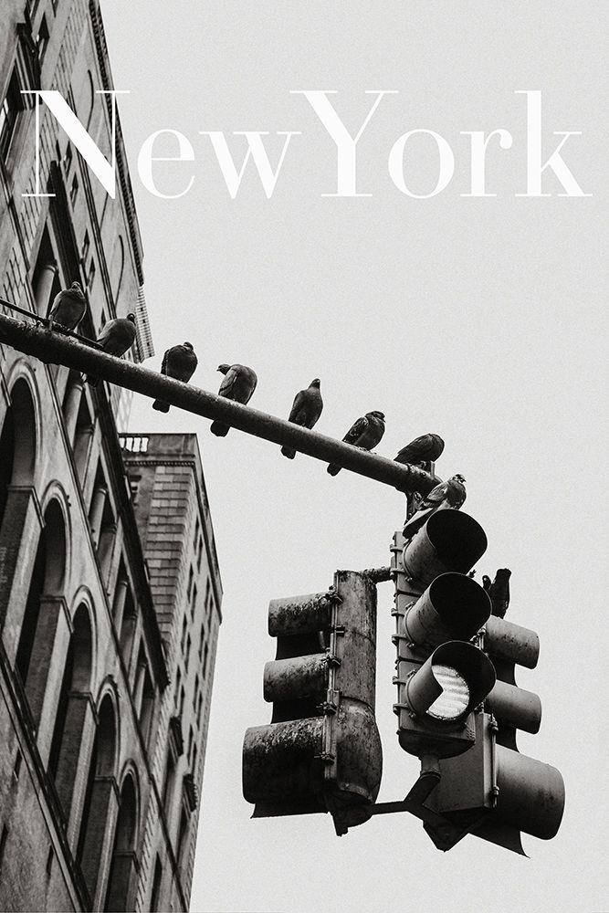 NYC Doves art print by Rikard Martin for $57.95 CAD