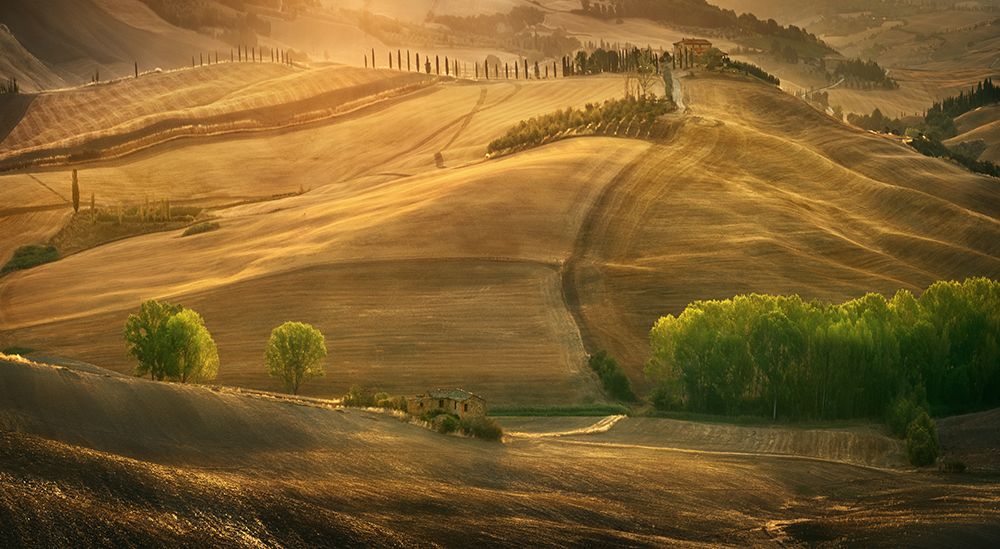 Tuscan summer... art print by Krzysztof Browko for $57.95 CAD