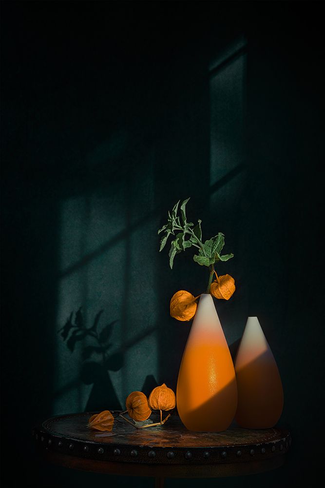 Chinese lantern plant art print by Lydia Jacobs for $57.95 CAD