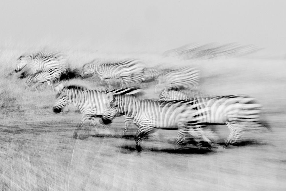 Moving stripes art print by Lokesh Kumar Rastogi for $57.95 CAD