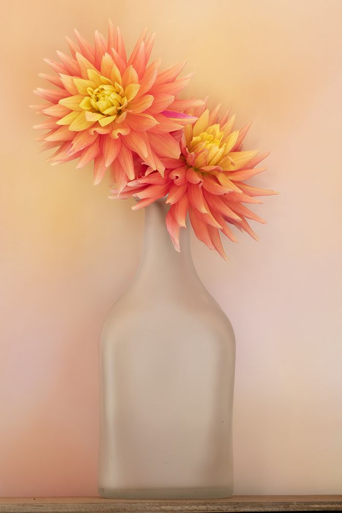 The Dahlia and Vase art print by Linda D. Lester for $57.95 CAD