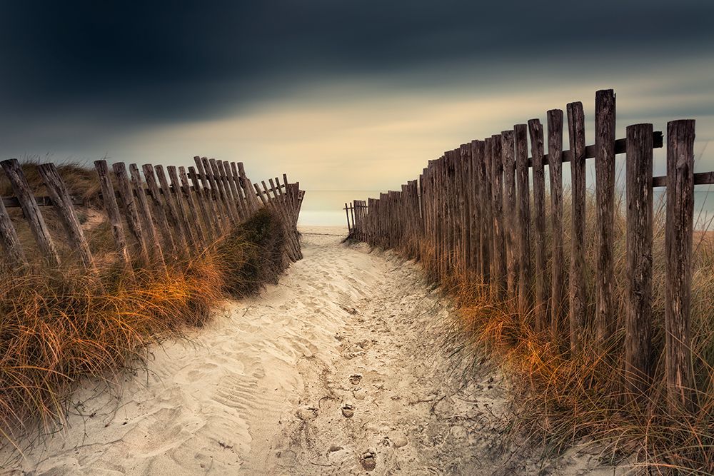 The Path That Led To You art print by Rico Cavallo for $57.95 CAD