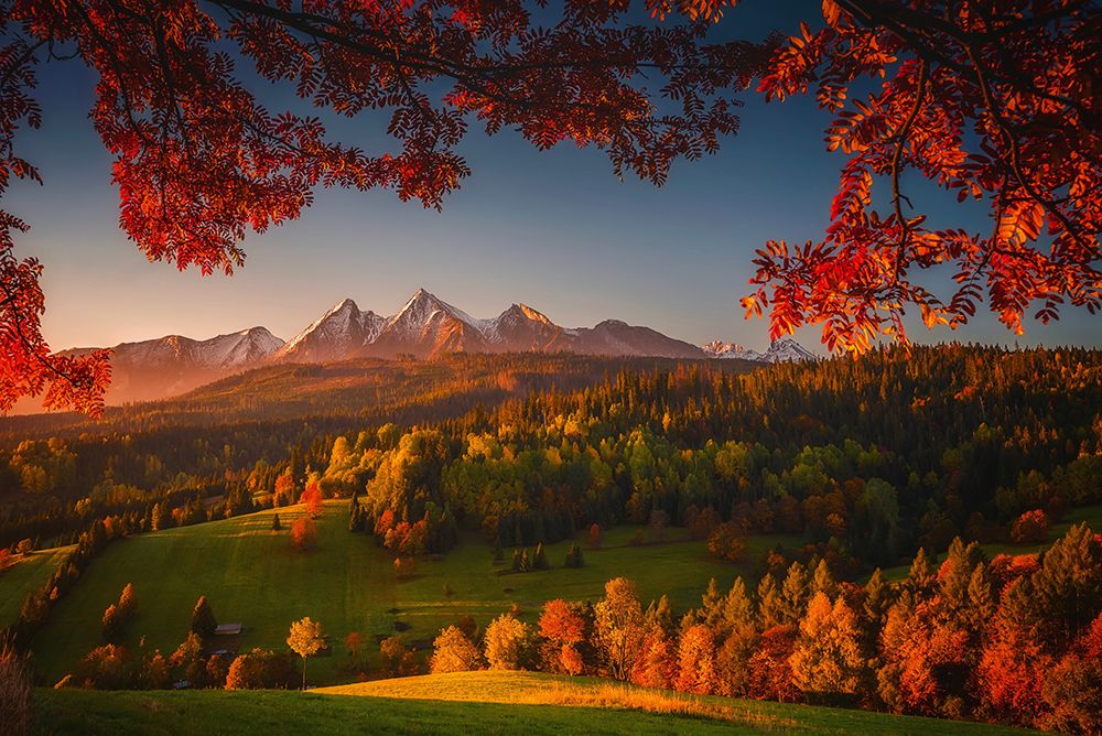 Idyllic Morning art print by Tomasz Oryszczak Photography for $57.95 CAD