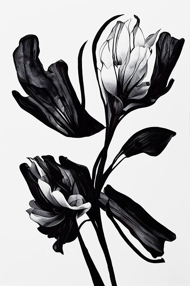 Black Flower art print by Treechild for $57.95 CAD