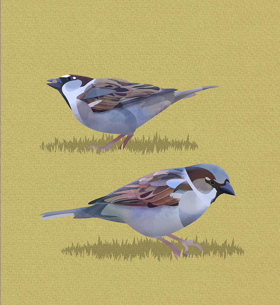 Sparrows art print by Franco Caballero for $57.95 CAD
