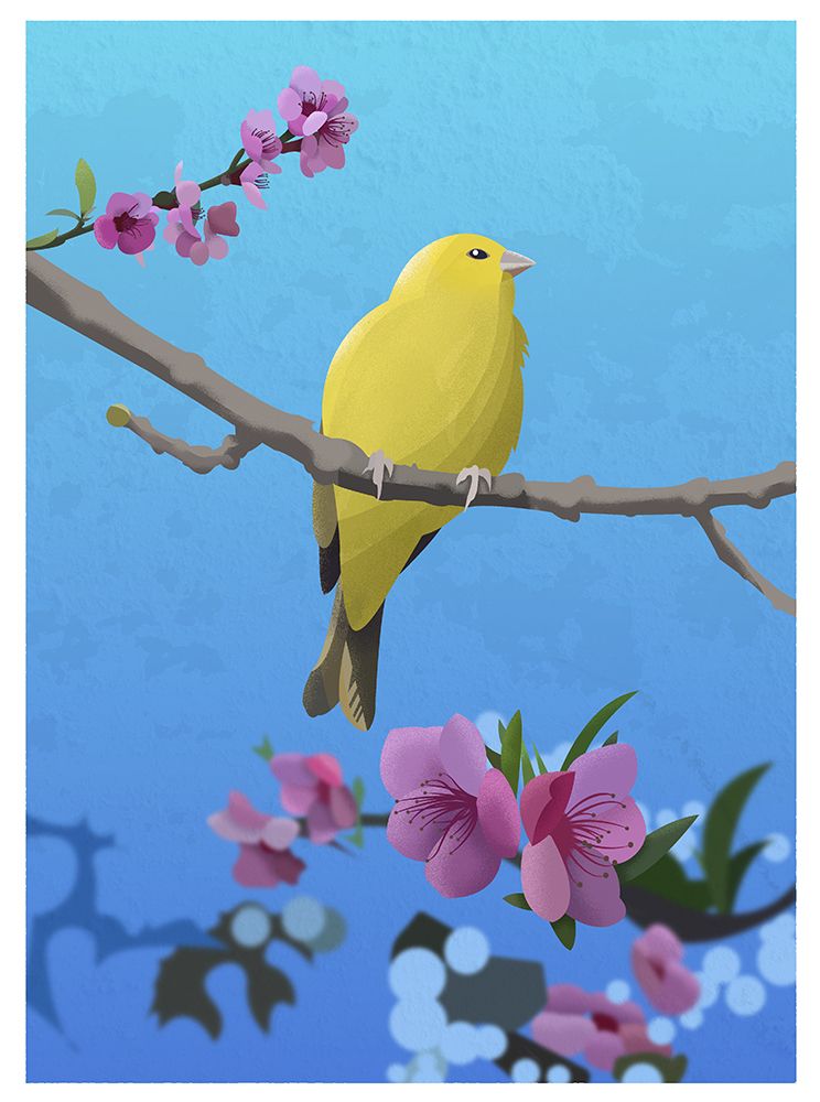 Goldfinch art print by Franco Caballero for $57.95 CAD