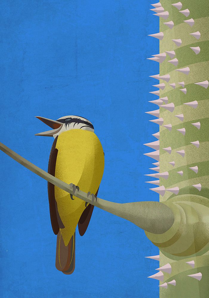 Benteveo art print by Franco Caballero for $57.95 CAD