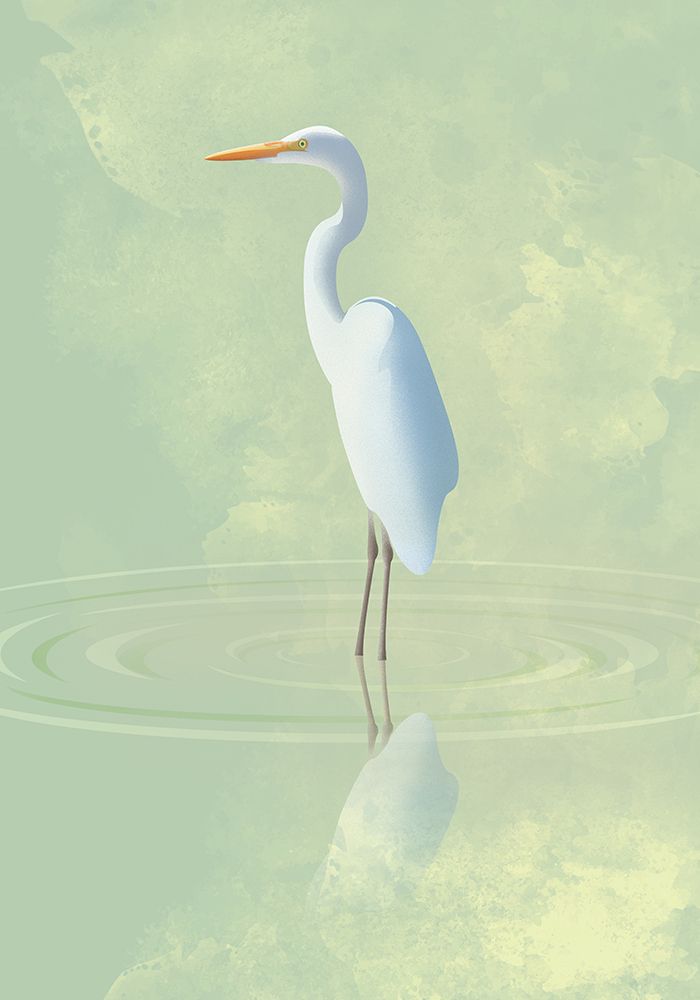 Heron art print by Franco Caballero for $57.95 CAD