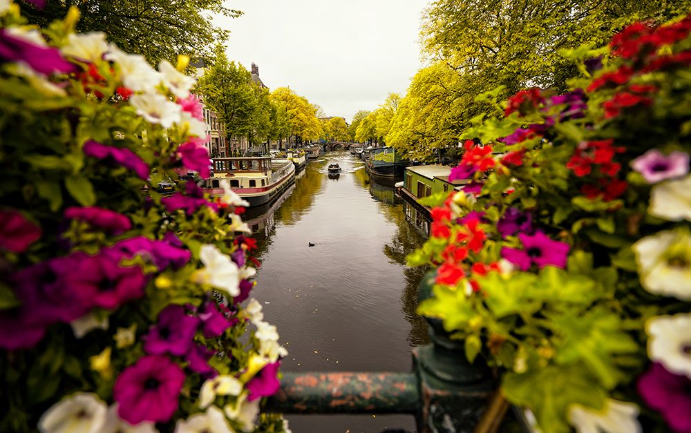 Floral In Amsterdam art print by Merthan Kortan for $57.95 CAD