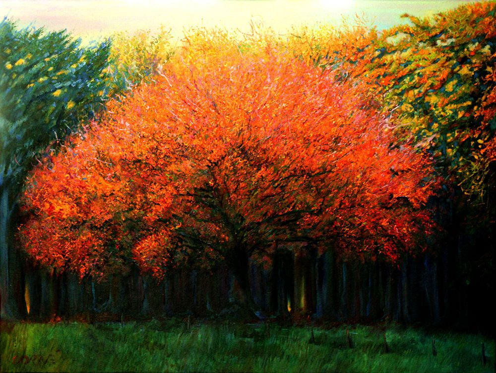 Autumn Tree at Laren (2013) art print by Corne Akkers for $57.95 CAD