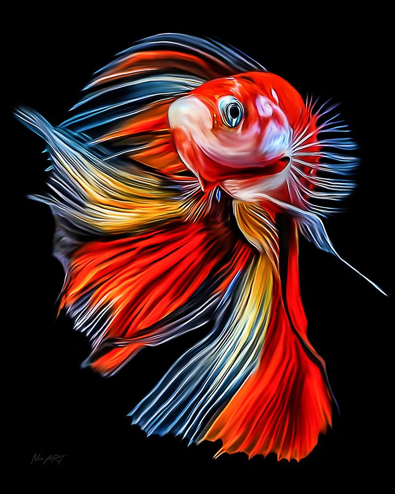 Colorful Fish art print by Lord Amihere for $57.95 CAD